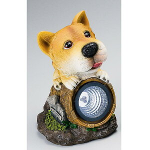 GC`c[I[@H160@qtX|bg^\[[Cg@Č@H-160y[J[zy/szy\[[Cg/K[fCg/|u/CeAuz