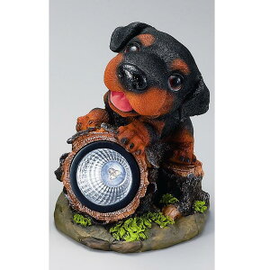 GC`c[I[@H163@qtX|bg^\[[Cg@_bNX@H-163y[J[zy/szy\[[Cg/K[fCg/|u/CeAuz