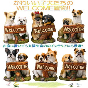 y(kCEE)zGC`c[I[@H889@2C̃hbO@EFJ{[h@6A\[gZbg@H-889y[J[zy/szyK[fu/Ce