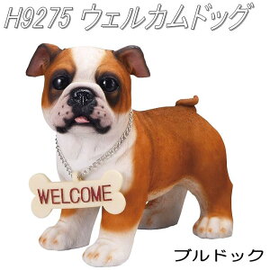 GC`c[I[@H9275@EFJhbN@uhbN@H-9275y[J[zy/szyK[fu/CeAu/|uz