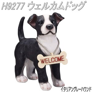 GC`c[I[@H9277@EFJhbN@C^AO[nEh@H-9277y[J[zy/szyK[fu/CeAu/|uz