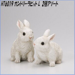 GC`c[I[@HT6019@Jg[rbg L@2A\[gZbgy[J[zy/szyI[ig/|u/CeAuz