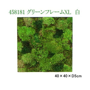プリザーブドグリーン 観葉植物の人気商品 通販 価格比較 価格 Com