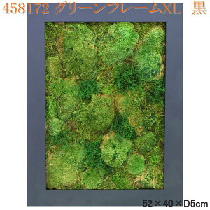 プリザーブドグリーン 観葉植物の人気商品 通販 価格比較 価格 Com