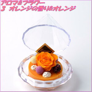 AgGEm@456013@vU[uht[@A}&t[2Zbg@IW̍&IWy񂹕izyvU[uhC̓MtgCԁCt[z