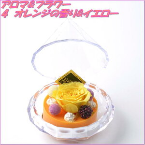 AgGEm@456014@vU[uht[@A}&t[2Zbg@IW̍&CG[y񂹕izyvU[uhC̓MtgCԁCt[z