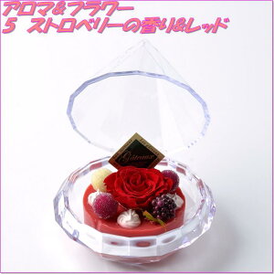 AgGEm@456015@vU[uht[@A}&t[2Zbg@Xgx[̍&bhy񂹕izyvU[uhC̓MtgCԁCt[z