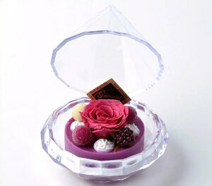 AgGEm@456011@vU[uht[@A}&t[2Zbg@[Y̍&sNy񂹕izy̓ v[g Mtg  vU[uht[z