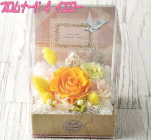 AgGEm@456714@vU[uht[@vi[h@CG[y񂹕izy̓ v[g Mtg  vU[uht[z