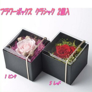 AgGEm@456701@vU[uht[@t[BOX NVbN@2Zbg@sNy񂹕izy̓ v[g Mtg  vU[uht[z