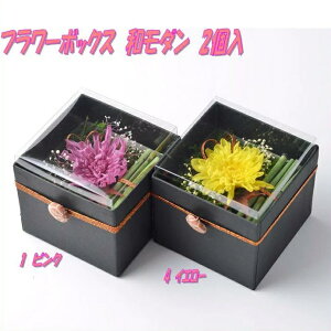 AgGEm@456691@vU[uht[@t[BOX a_@2Zbg@sNy񂹕izy̓ v[g Mtg  vU[uht[z