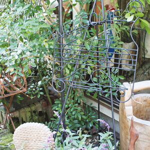 W[rX@34118@~[WbNC[[y[J[zy^szyXܑEŔEj[\EiEC[[z