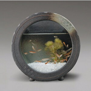 y()zMyā@541-03@֊ېijy[J[izy/szyMyā@z