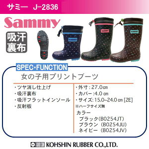 Z[iC LbY WjA OiS T~[ J-2836 ubN uE lCr[ qpo[u[c 15cm-24cmy$ WjApCu[c LbYpC qpCzy񂹁z$