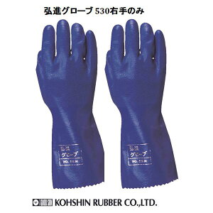 S Ɨp jgS OiS OiO[u530 ÊK0019ASyƎ jgS Y Hi _ Hiq@Kz