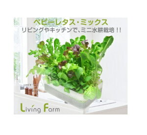 rOt@[@LFS-329@~jk؉LbgBM xr[^XE~bNX y[J[zy^szy͔|Lbg/k͔|/͔|Zbg/LivingFarmz