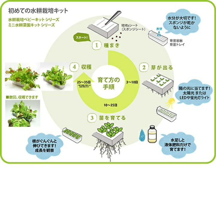 リビングファーム Lf Ml2 室内水耕栽培器キット リビングファームm2 リビングファーム Lf Ml2 室内水耕栽培器キット リビングファームm2