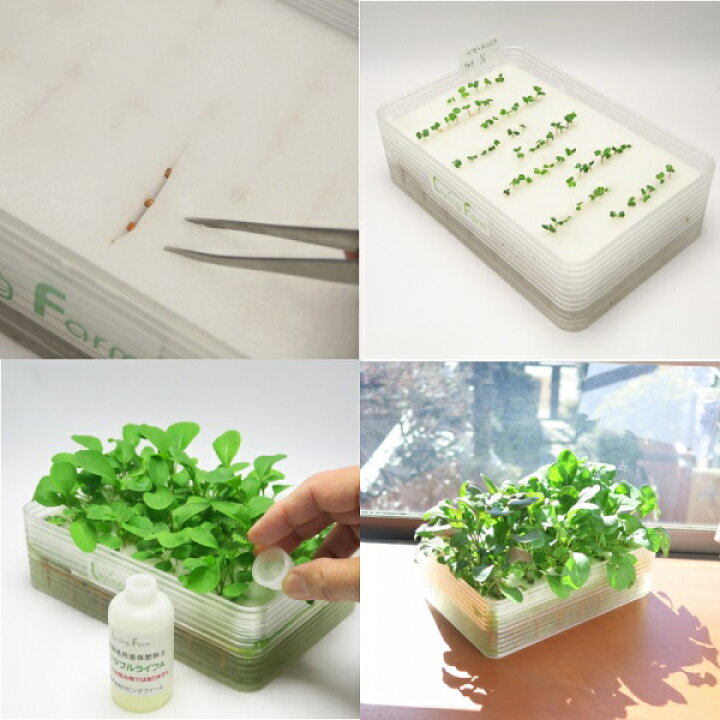 リビングファーム Lfs 600 植物栽培用 1本 100v直結仕様 高輝度led600 リビングファーム Lfs 600 植物栽培用 1本 100v直結仕様 高輝度led600