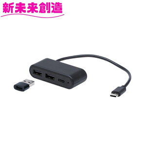 J[pi X}z [d }[d [d USB  TP-233 Type-C ݃|[g Zp[g ƉbNy񂹏izyJ[pi ANZT USB ݃\Pbg ^CvA ^CvC d\Pbg 