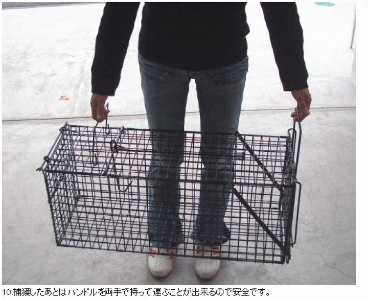楽天市場】小動物キャッチャー TA24 動物捕獲器(フック式) 箱 楽天市場】小動物キャッチャー TA24 動物捕獲器(フック式) 箱