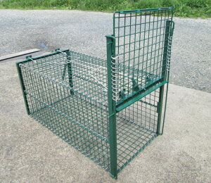 ԋZ ߊl C[W[Lb`[ RK10F 38cm×40cm×80cm ACO},k[gA,AiO},nNrV {̂̐FFZ[][萔]