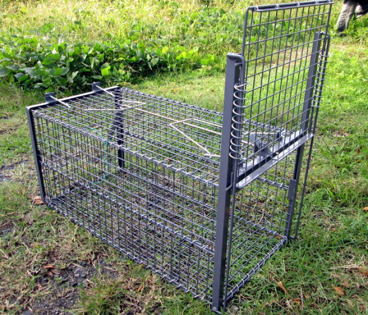 楽天市場】陸網技研 小動物捕獲器 イージーキャッチャー RK10F 約38cm 