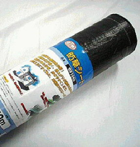 hV[g 1m×50m ~ŁAGh~ED͂˂ɌʂI[][萔]