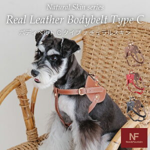 yzNow&Fountain ( GkAhGt ) { {fBxg C^Cv w~O n[lX {v  ~j`AsV[ C^AO[nEh U[ pn[lX ^ Mtg v