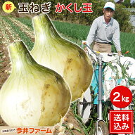 【予約】新玉ねぎ【送料無料】淡路島たまねぎかくし玉＃かくし玉2K＃ 淡路島 玉ねぎ 玉葱 たまねぎ 玉葱 …