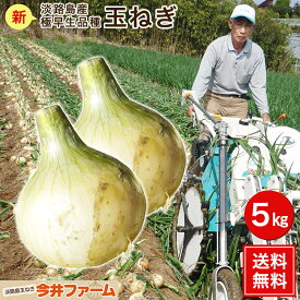 淡路島産 【極早生品種】【送料無料】＃極早生淡路玉ねぎ5k＃たまねぎ 玉ねぎ 新たまねぎ 新玉葱 新玉ねぎ 新玉