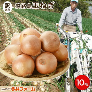 淡路島 玉ねぎ 10kg 野菜 きのこの人気商品 通販 価格比較 価格 Com
