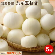むき玉ねぎ 業務用 ＃ムキ玉ねぎ5kg＃ 玉葱 玉ねぎ たまねぎ タマネギ