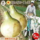 淡路島新たまねぎかくし玉【訳あり】5kg #かくし玉訳あり5K#たまねぎ