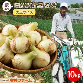 【送料無料】淡路島新玉ねぎ【訳あり大玉サイズ】10キロ☆ 淡路島 玉ねぎ たまねぎ タマネギ 玉葱 淡路 ＃大玉たまねぎ10K＃「たまねぎ 10kg 送料無料」 新たまねぎ 新玉葱 新玉ねぎ 新玉