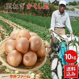 今井ファーム かくし玉 淡路島産たまねぎ ＃かくし玉10kg＃【5キロ×2】 淡路島 玉ねぎ 玉ネギ タマネギ たまねぎ たまねぎ葱 玉ねぎ