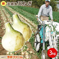 【予約】新玉ねぎ 淡路島玉ねぎ3キロ 【タマネギ】【たまねぎ】＃淡路たまねぎ3kg＃ 淡路島 玉ねぎ たま…