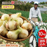 【予約】新玉ねぎ【送料無料】淡路島玉ねぎ【大玉サイズ】10キロ☆ 淡路島 玉ねぎ たまねぎ タマネギ 玉…