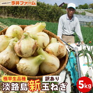 【今だけ☆250円OFF】【極早生品種】【訳あり】【【送料無料】【極早生】淡路島玉ねぎ 5キロ 【淡路島】…