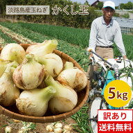 【予約】新玉ねぎ 淡路島たまねぎかくし玉【訳あり】5kg ＃かくし玉訳あり5K＃ 淡路島 玉ねぎ たまねぎ …