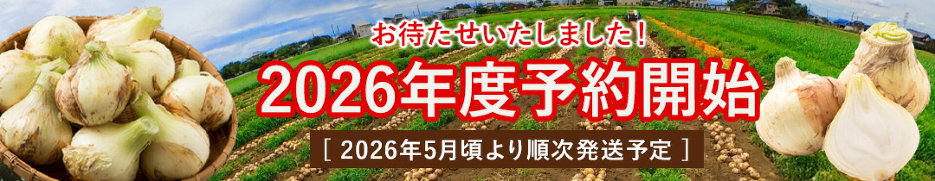 2026年度玉ねぎ予約
