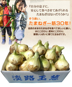 ������̵����øϩ��ڿ��۶̤ͤ�������10����