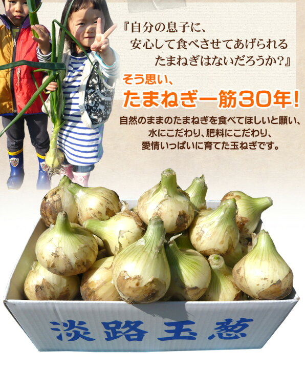 楽天市場】【新玉ねぎ予約(5月頃より順次発送予定)】【送料無料 