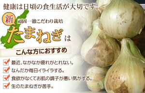 ��1���ָ��꥿���ॻ-��ۡ����ͽ��ۡ�����̵���ۡ�øϩ�翷�̤ͤ����������10�����������������Ŀ���Ǥ�������ޤͤ������ޤͤ����ޥͥ�����