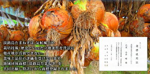 ������̵����øϩ�礿�ޤͤ����������10���������������Ŀ���Ǥ�������ޤͤ��̤ͤ����ޥͥ�øϩ���ޤͤ����ޤͤ���øϩ�̤ͤ����������10�ˡ��֤��ޤͤ�10kg����̵���׶̤ͤ�