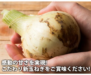 ������̵����øϩ�礿�ޤͤ����������10���������������Ŀ���Ǥ�������ޤͤ��̤ͤ����ޥͥ�øϩ���ޤͤ����ޤͤ���øϩ�̤ͤ����������10�ˡ��֤��ޤͤ�10kg����̵���׶̤ͤ�