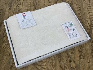 ^I I[KjbNRbg oX^I 1 Mtg   lt  蕨 ̓ ̓ v[g   Mtg v[g v`Mtg Ԃ