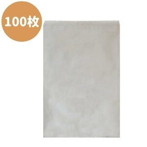 Ev ̉  Î100  ʑ卆 243×344 100pbN