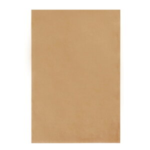 Ev  bsO   NNtg LTCY 260×390 200