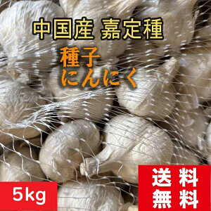 YyqzÒɂɂ  5kg jjN ^l c̔ ͔| gn͔|ɓKĂ܂I IK[bNIjI X^~iɁIJ񕜂₦PAƉu͂̌ 