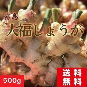 yHpz傤 500g VI  吶I {茧Y ʔ IĂVs  傤  傤̃`J tTTŌCɂ΂낤I